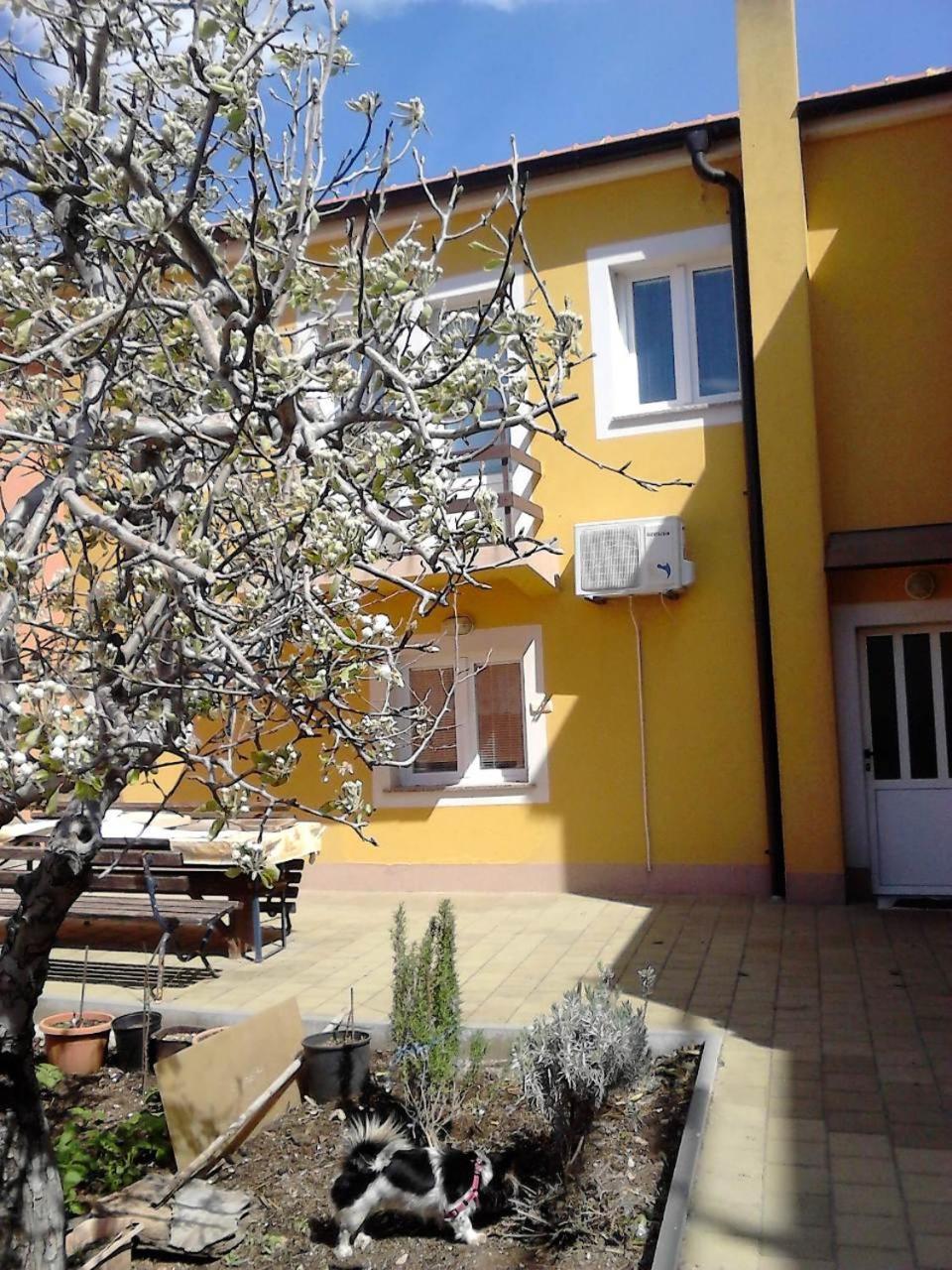 Ani Apartment