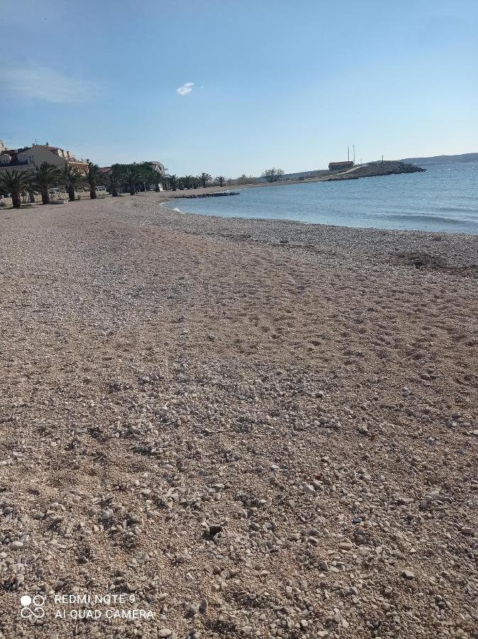 Ani Povljana